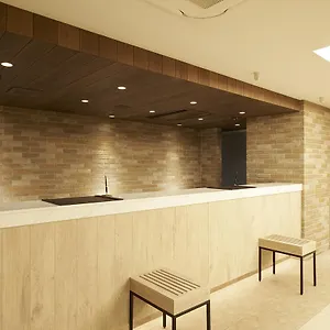 Sotetsu Fresa Ginza Sanchome Hotel